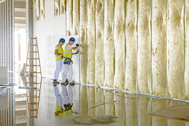 Best Commercial Insulation in Ashland, NE